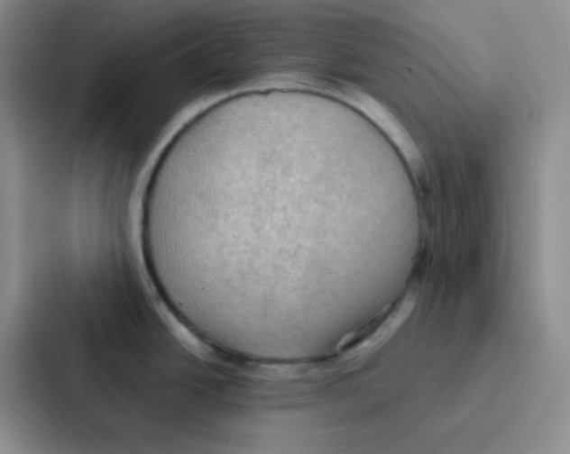 X0000086941438200705141753