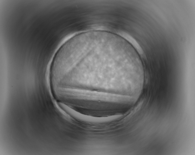 X0000086941439200705141753