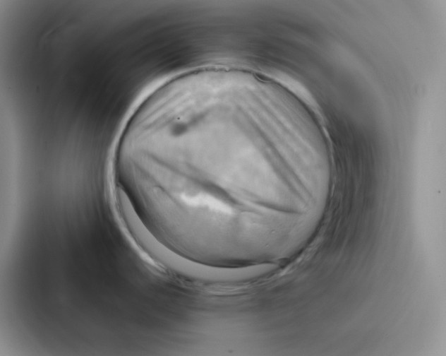 X0000086941440200705141753