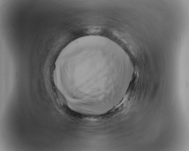 X0000086941441200705141753