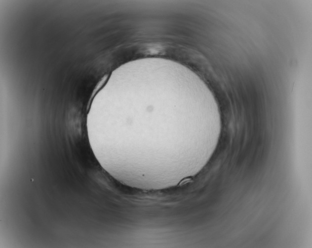 X0000086941442200705141753