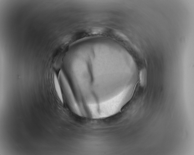 X0000086941443200705141753