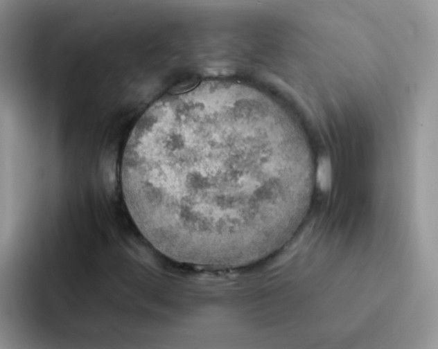 X0000086941444200705141753