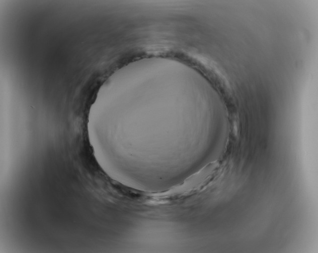 X0000086941445200705141753