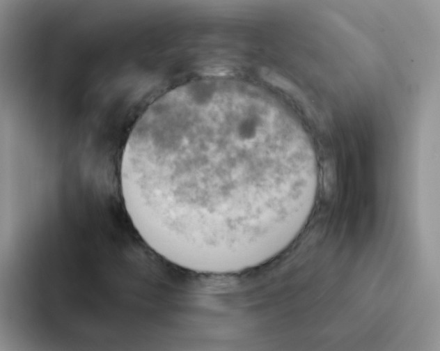 X0000086941446200705141753