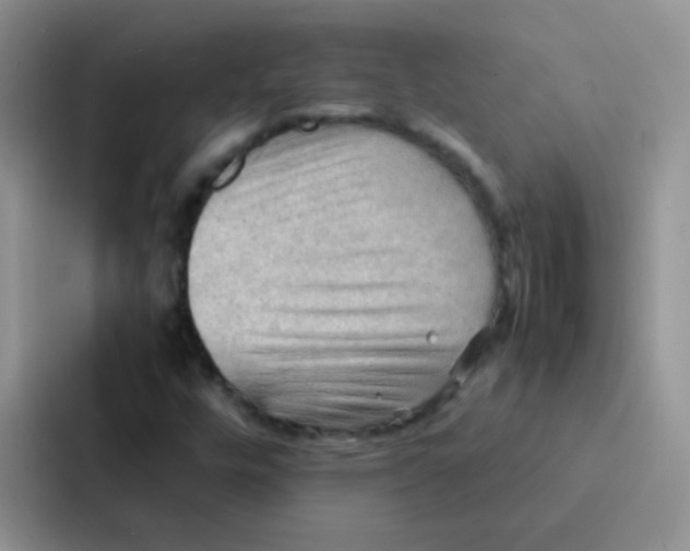 X0000086941448200705141753