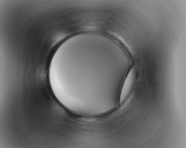 X0000086941450200705141753