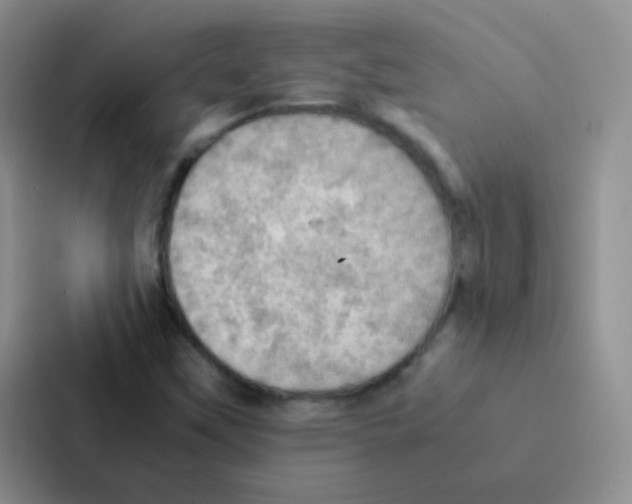 X0000086941451200705141753