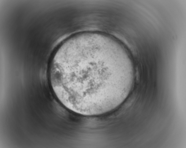 X0000086941452200705141753