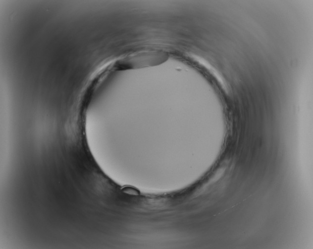 X0000086941453200705141752