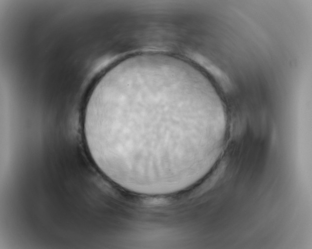 X0000086941454200705141752