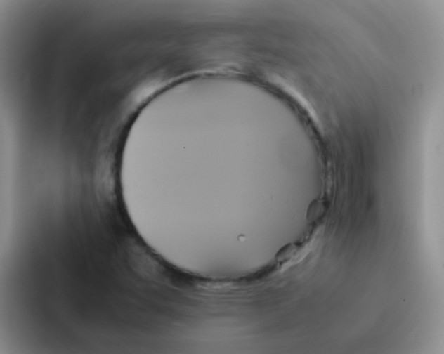 X0000086941455200705141752