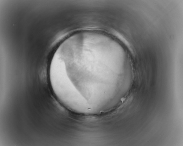 X0000086941456200705141752