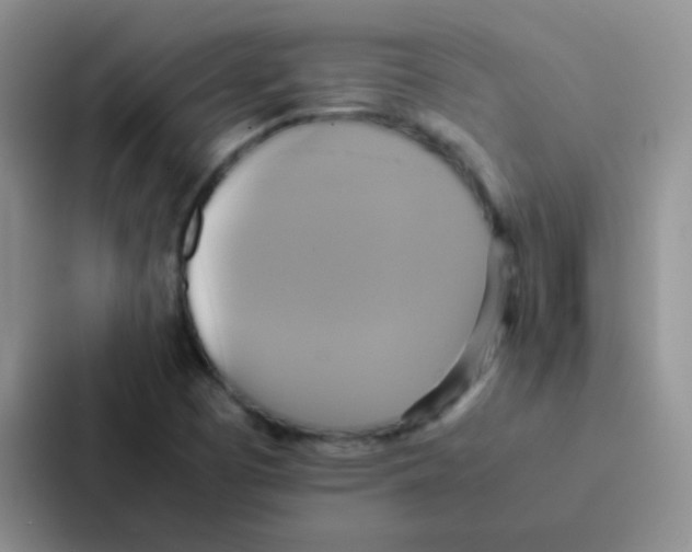 X0000086941457200705141752