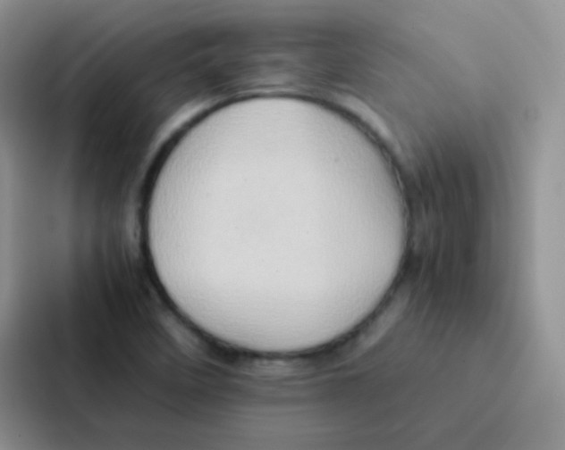 X0000086941458200705141752