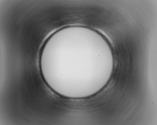 X0000086941460200705141752