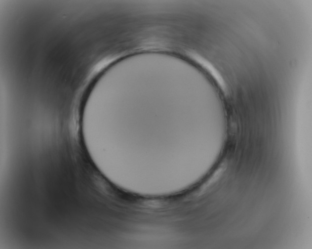 X0000086941461200705141752