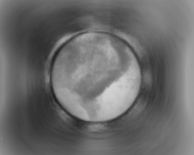 X0000086941462200705141752