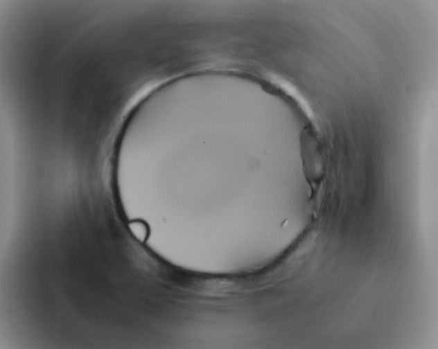 X0000086941463200705141752