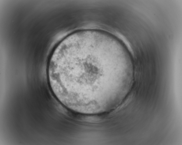 X0000086941464200705141752