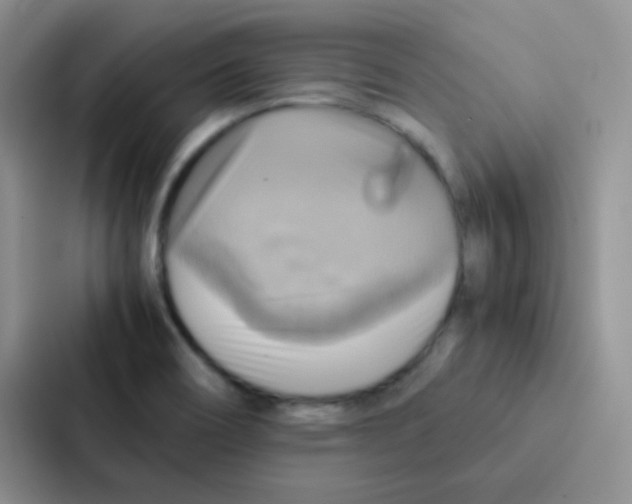 X0000086941466200705141752