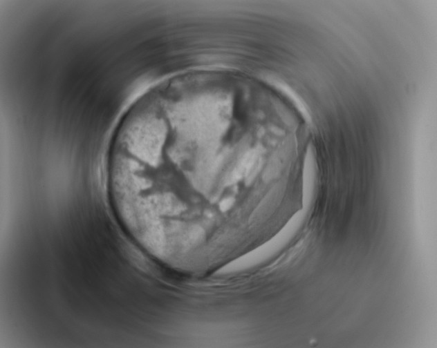 X0000086941467200705141752