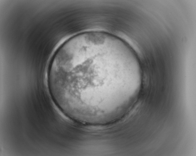 X0000086941468200705141752