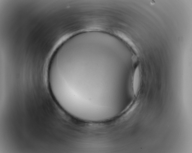 X0000086941469200705141752