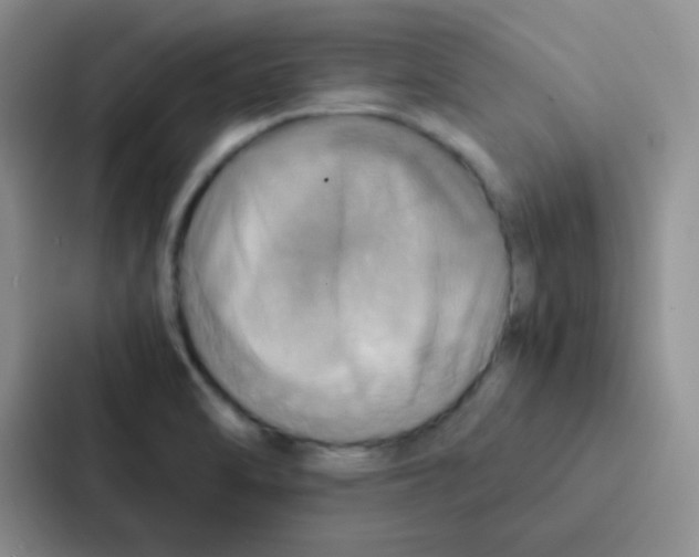 X0000086941470200705141752