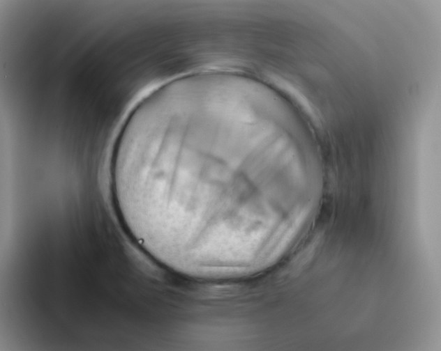 X0000086941471200705141752