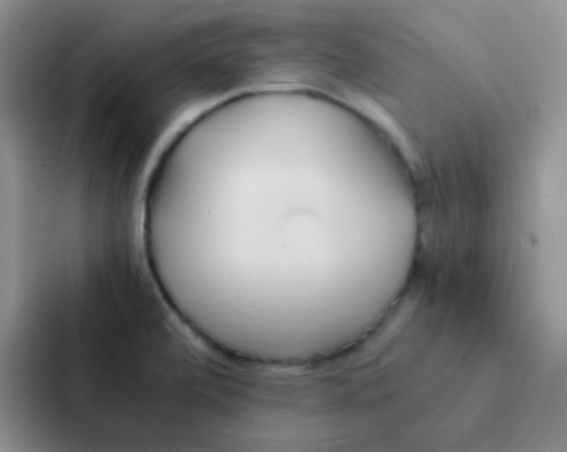 X0000086941472200705141752