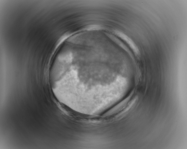 X0000086941473200705141752