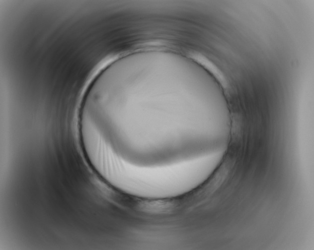 X0000086941474200705141752