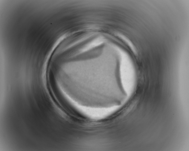 X0000086941475200705141752