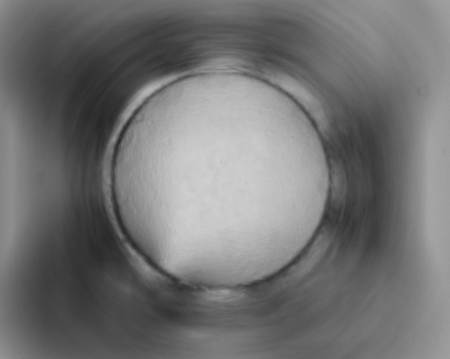 X0000086941478200705141752