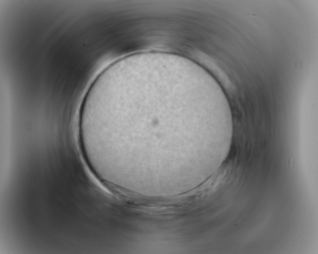 X0000086941479200705141752