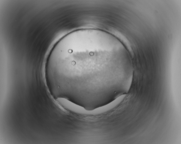 X0000086941480200705141752