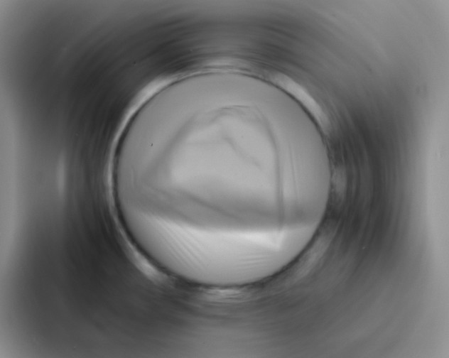 X0000086941482200705141752