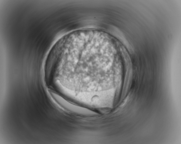 X0000086941483200705141752