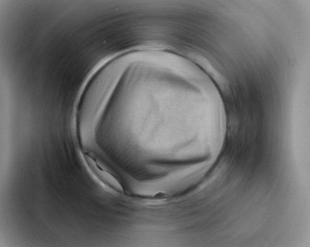 X0000086941484200705141752