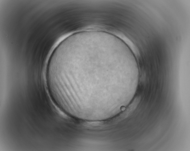 X0000086941486200705141752