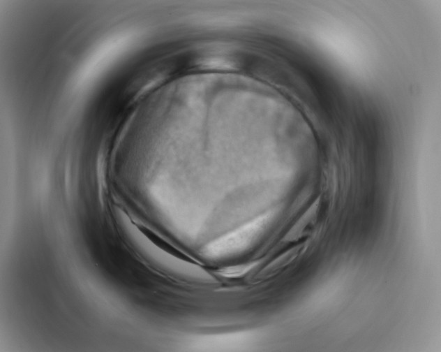 X0000086941487200705141752