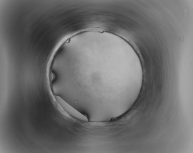 X0000086941488200705141752