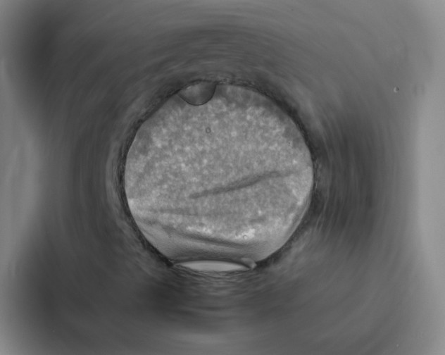 X0000086941489200705141751