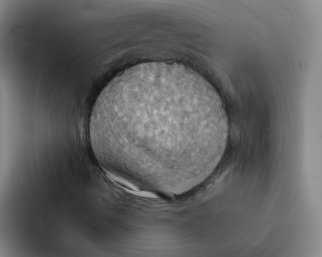 X0000086941490200705141751