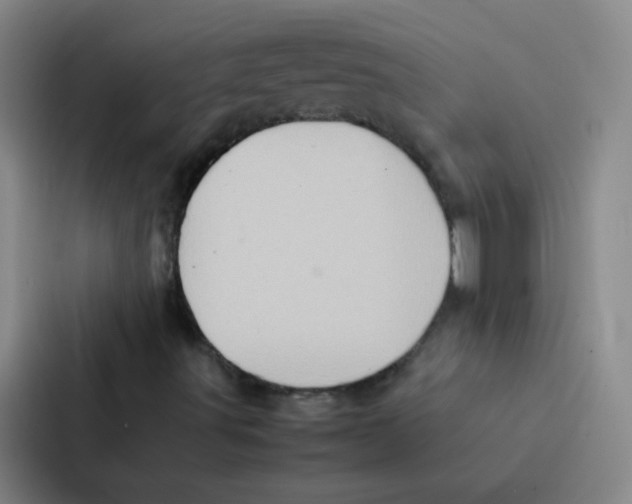 X0000086941491200705141751