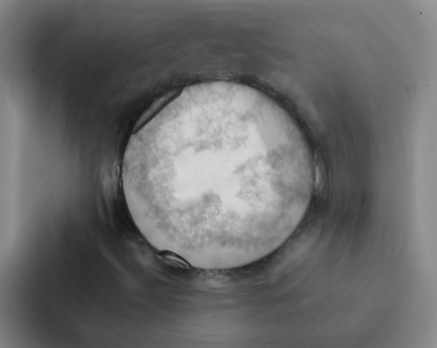 X0000086941492200705141751