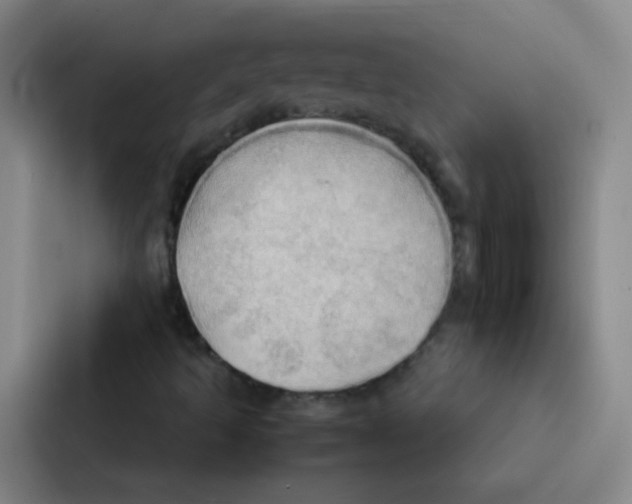 X0000086941493200705141751