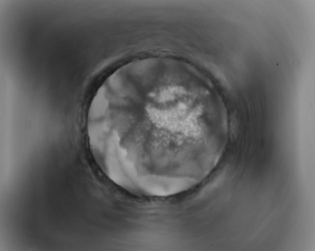 X0000086941494200705141751