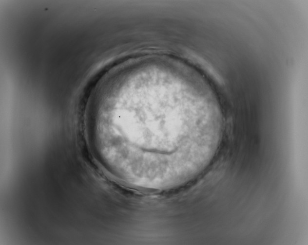 X0000086941496200705141752